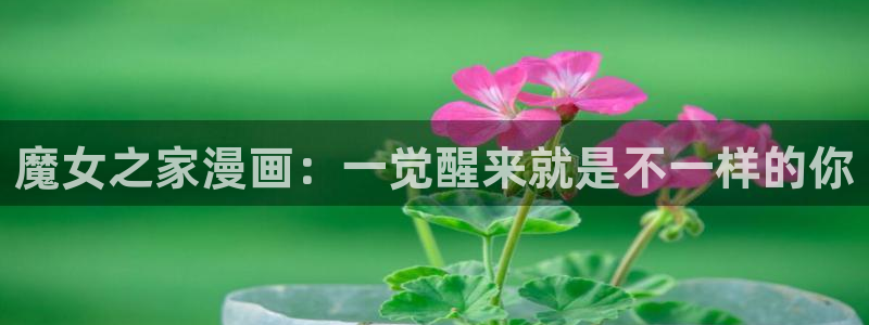 yy漫画免费漫画在线：魔女之家漫画：一觉醒来就是不一样的你