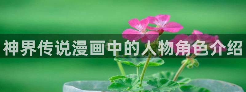 yy漫画首页进入：神界传说漫画中的人物角色介绍