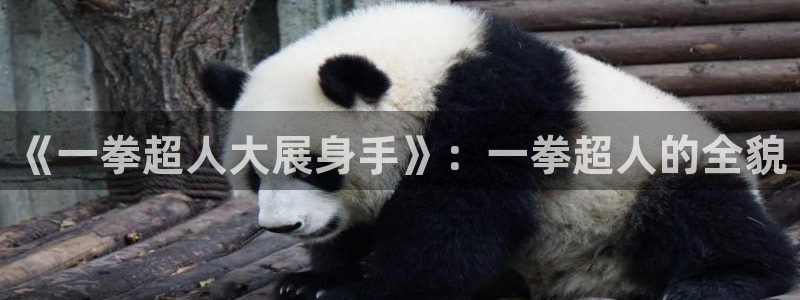 yy漫画免登录：《一拳超人大展身手》：一拳超人的全貌