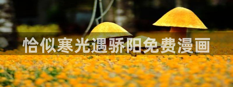 yy漫画在线无删减：恰似寒光遇骄阳免费漫画