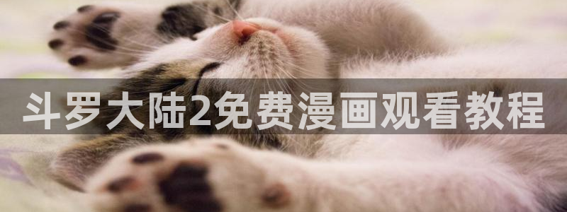 yy漫画登录不了怎么办：斗罗大陆2免费漫画观看教程